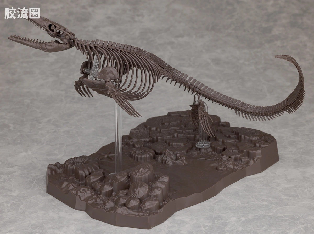 万代综合拼装模型系列 Imaginary Skeleton系列 沧龙 - 图片